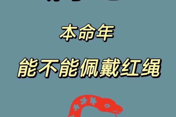 探索2001年蛇年人的命运与性格特征