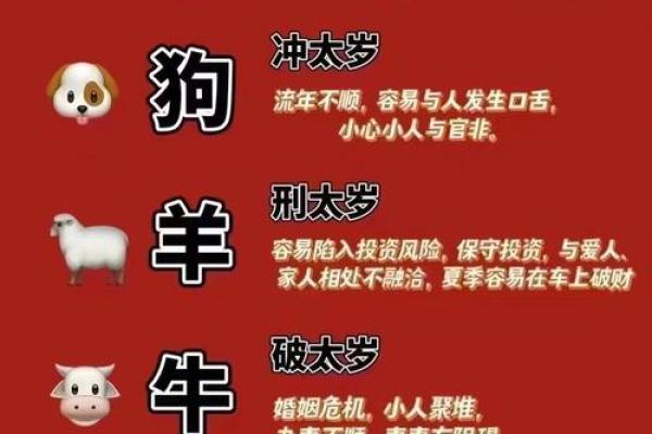 1978年出生的人生运势与生肖解密：探寻命理的奥秘与人生的机遇