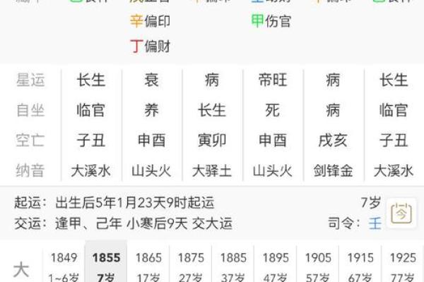 乙亥女命与六种八字相合的缘分与启示