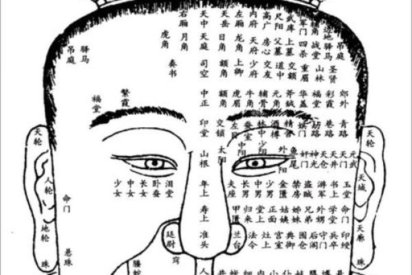理解方脸男人的命运：从面相看人生轨迹与性格特征