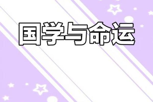命理探索：解码命运的奥秘，剖析人生的不同维度