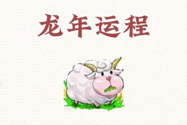 龙年凌晨出生的命运解析：揭示你的运势秘密