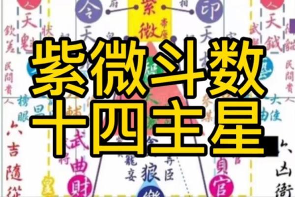 揭秘紫微命盘中的主星：掌握命运的关键