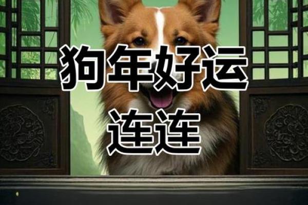 2006年属狗，命途分析与运势展望