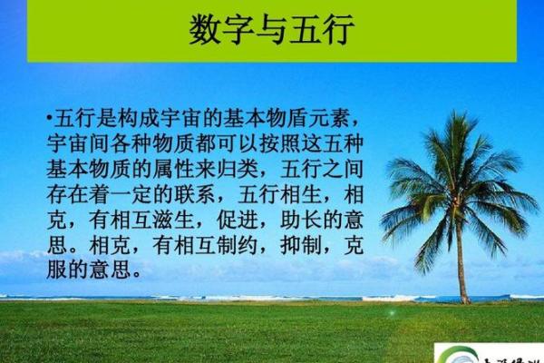 探寻1932年五行命理：穿越时空的生命密码与启示