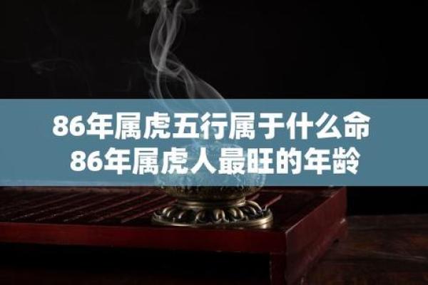 1998年出生的人：属虎，勇敢与智慧的结合之年！
