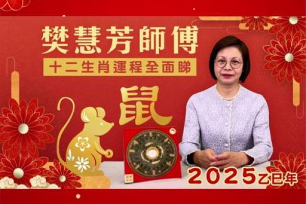 2020鼠年命运解析：揭示不同鼠命的特点与运势!