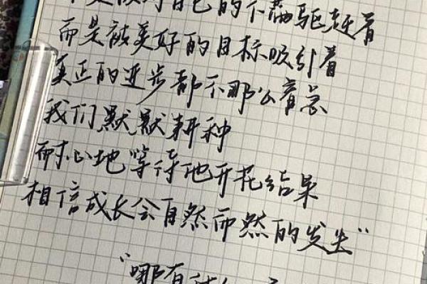 探秘十三笔画的命运之谜，揭示人生的玄机与奥秘！