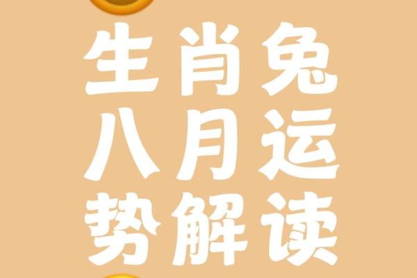 1987年属兔，命理解析与人生智慧