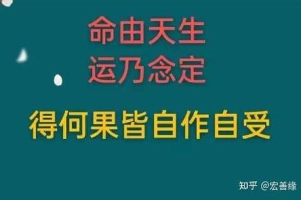 剑锋金命与其他命理的完美结合：探寻最优属性的相生之道