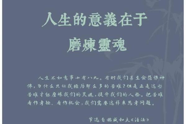 探索“什么是命”的深意与人生哲学