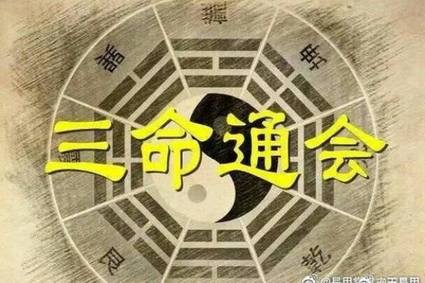 命运的交织：父命与母命的深刻影响