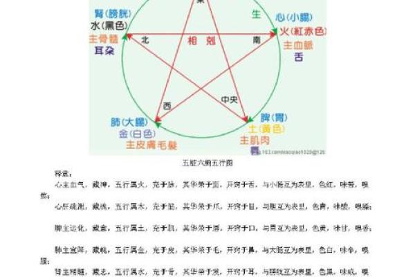 命局忌讳的属相分析：如何选择合适的人际关系？