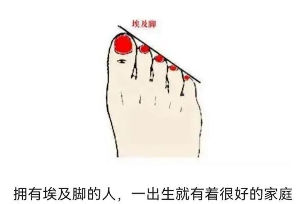 脚型与命运：你相信吗？探寻脚与人生的神秘联系