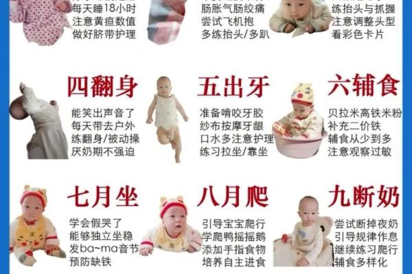 1969年出生的宝宝，命运与性格全解析！