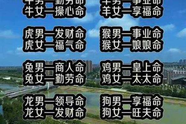 揭秘命局:如何看懂自己的命格,找到人生方向! 揭秘命局:如何看懂自己的命格,找到人生方向!