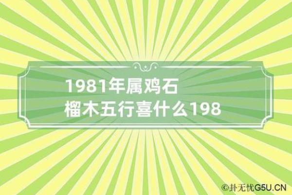 属鸡宝宝命格解析：优雅与智谋的完美结合