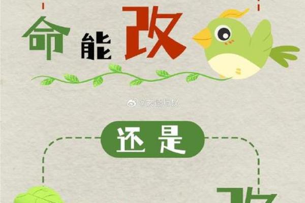 探索命运：如何通过笔划分析改善人生运势