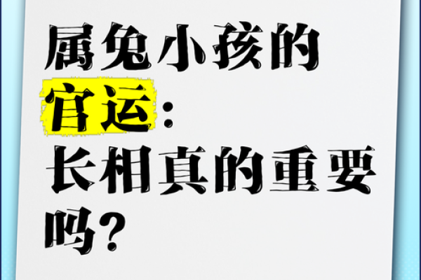 2011年属兔人的命运解析：你是天生的幸运儿吗？