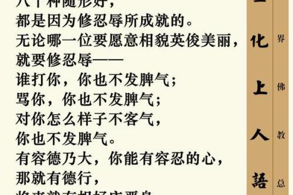 深入解读“忍三一命二命”的智慧与哲学