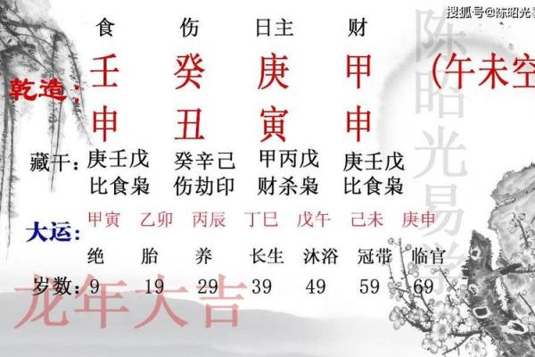 壬申癸丑丁巳命：探寻生命中的智慧与力量