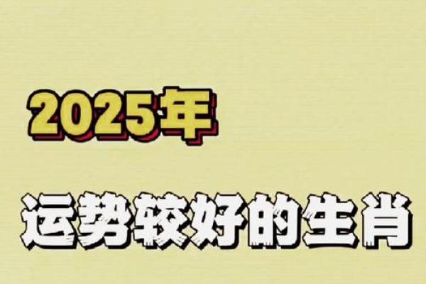 属鸡人的命运解析：智慧与挑战并存的一生
