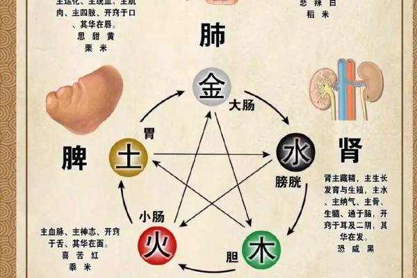 木命与火命的相克关系：探析五行之间的微妙平衡