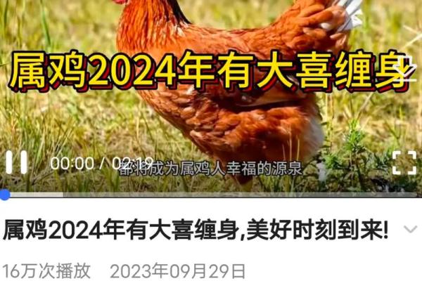 属鸡的人都是什么命？揭开属鸡人的命运秘密！