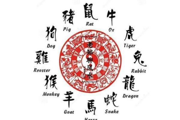 1971年出生的猪是什么命？揭秘猪年命理与性格特征