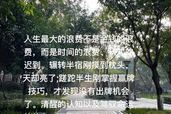 命运的乐章：1964年人生的启示与思考