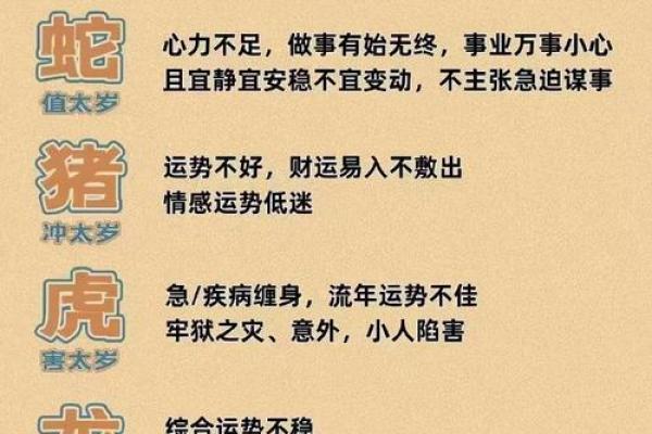 属猪之人晚上出生的命理解析与人生影响