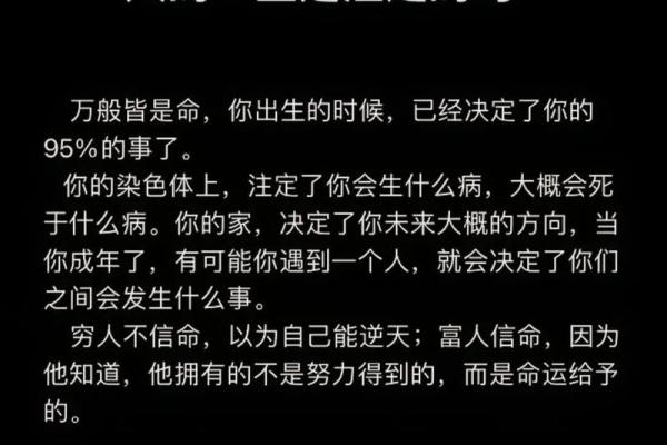 1986年出生者的命运解析：走向成功的命理与人生轨迹