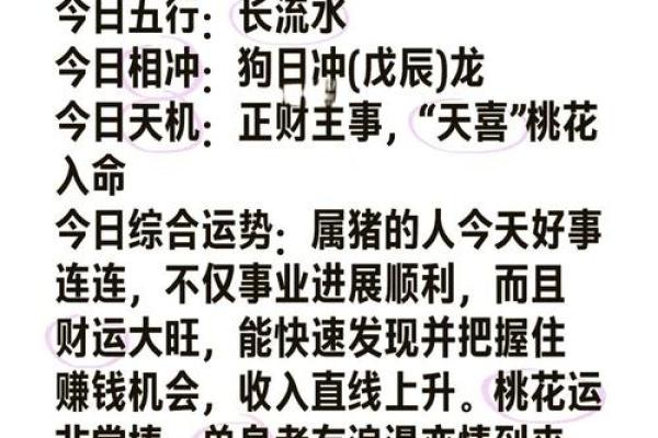 71属猪女性的命运解析：聪慧而幸福的旅程