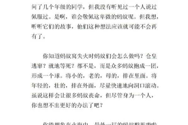 阴历1027的命运解析：命格、性格与生活启示