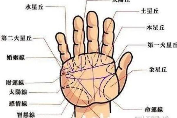 命与面相交的奥秘：了解命理与相学的深层联系