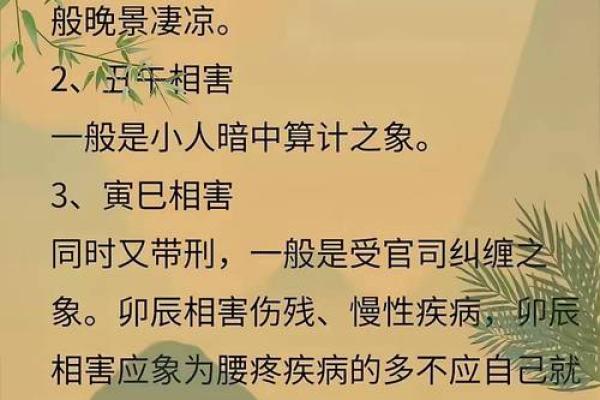 命与面相交的奥秘：了解命理与相学的深层联系