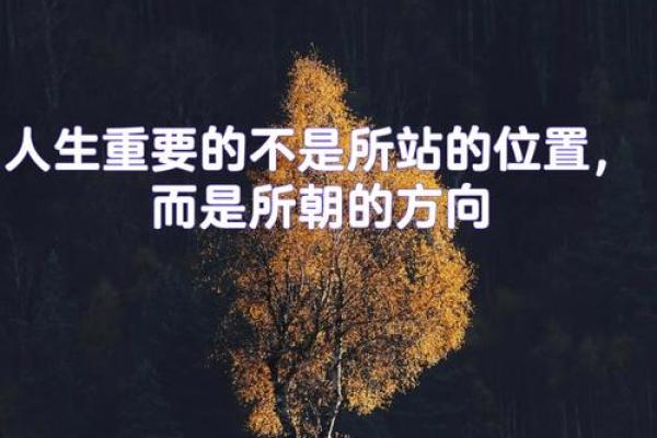 兔年冬月生人命运解析：神秘的命理与人生旅程