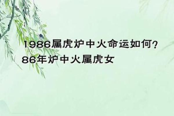 属虎金箔金命与哪些命相配：探寻最佳搭配的奥秘