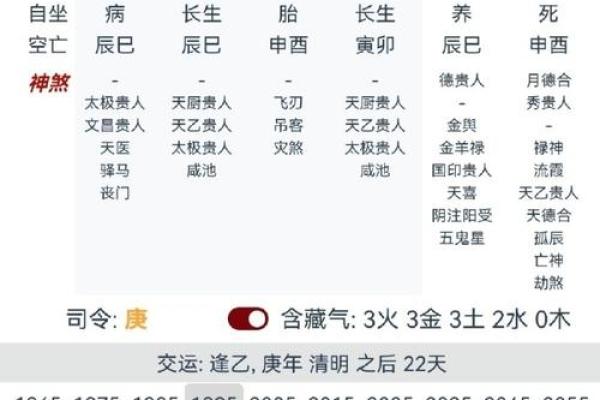 农历丁酉年：命理与运势解析，助你开启人生新篇章