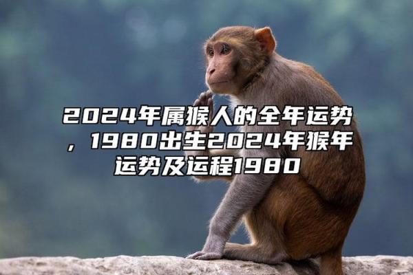 1967年属猴的人命运解析：智慧与灵活的典范
