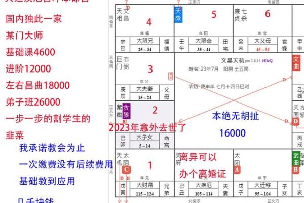 女性命理中的官星解析：揭开命格的神秘面纱