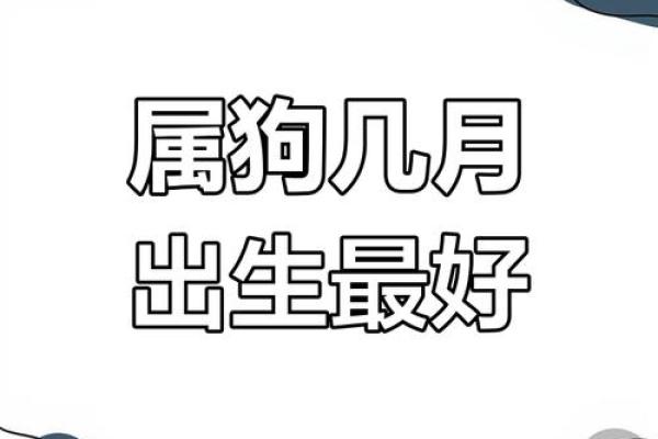 2018年属狗男士命运分析：机遇与挑战并存的精彩人生