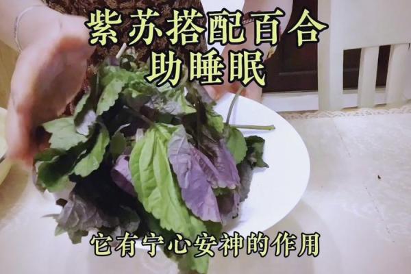 炉中火命的最佳枕头选择，助您安眠无忧！