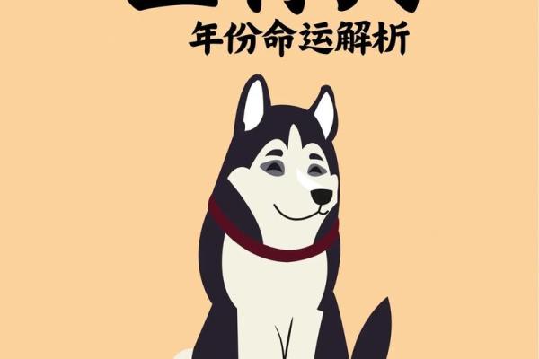 1994年属狗男士的命理分析与生活指南