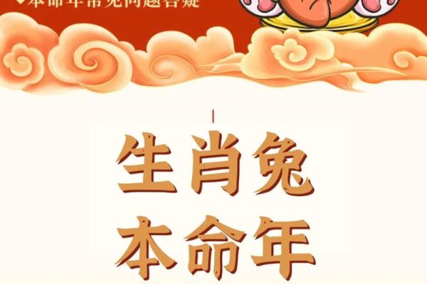 1987年兔年出生的人：命运与性格的神秘之旅