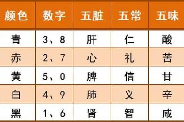 兔宝宝的命理解析：五行属性与生活运势的深度剖析