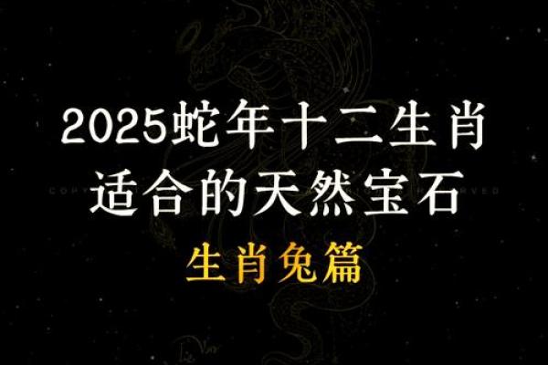 兔宝宝的命理解析：五行属性与生活运势的深度剖析