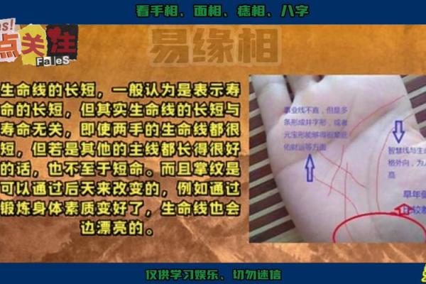 手掌薄的人是什么命？揭示命运的奥秘与人生的启示