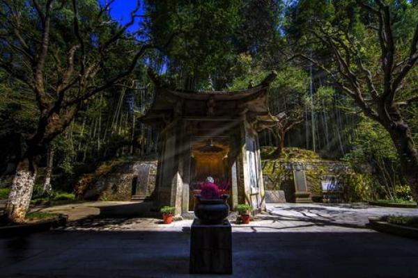 土命人学什么最适合：开辟人生新视野的机会与选择