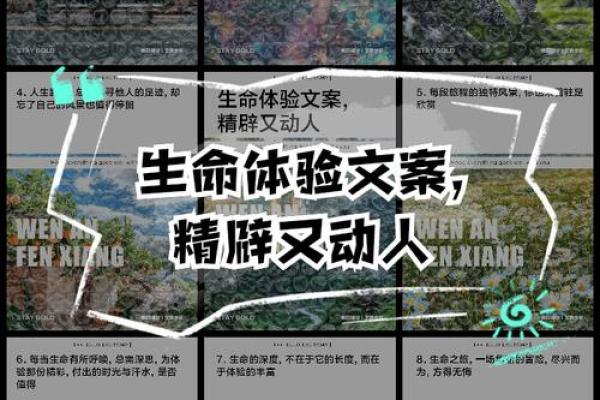 水命之人喜种的植物——探寻适合你的生命之绿